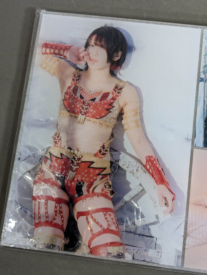 Utami Hayashishita  Acrylic Panel