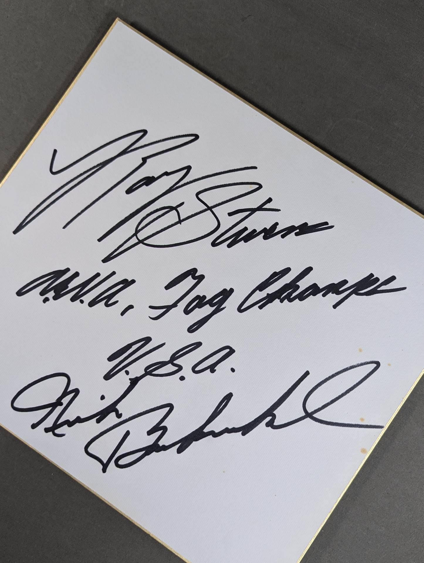 レイ・スティーブンス＆ニック・ボックウィンクル