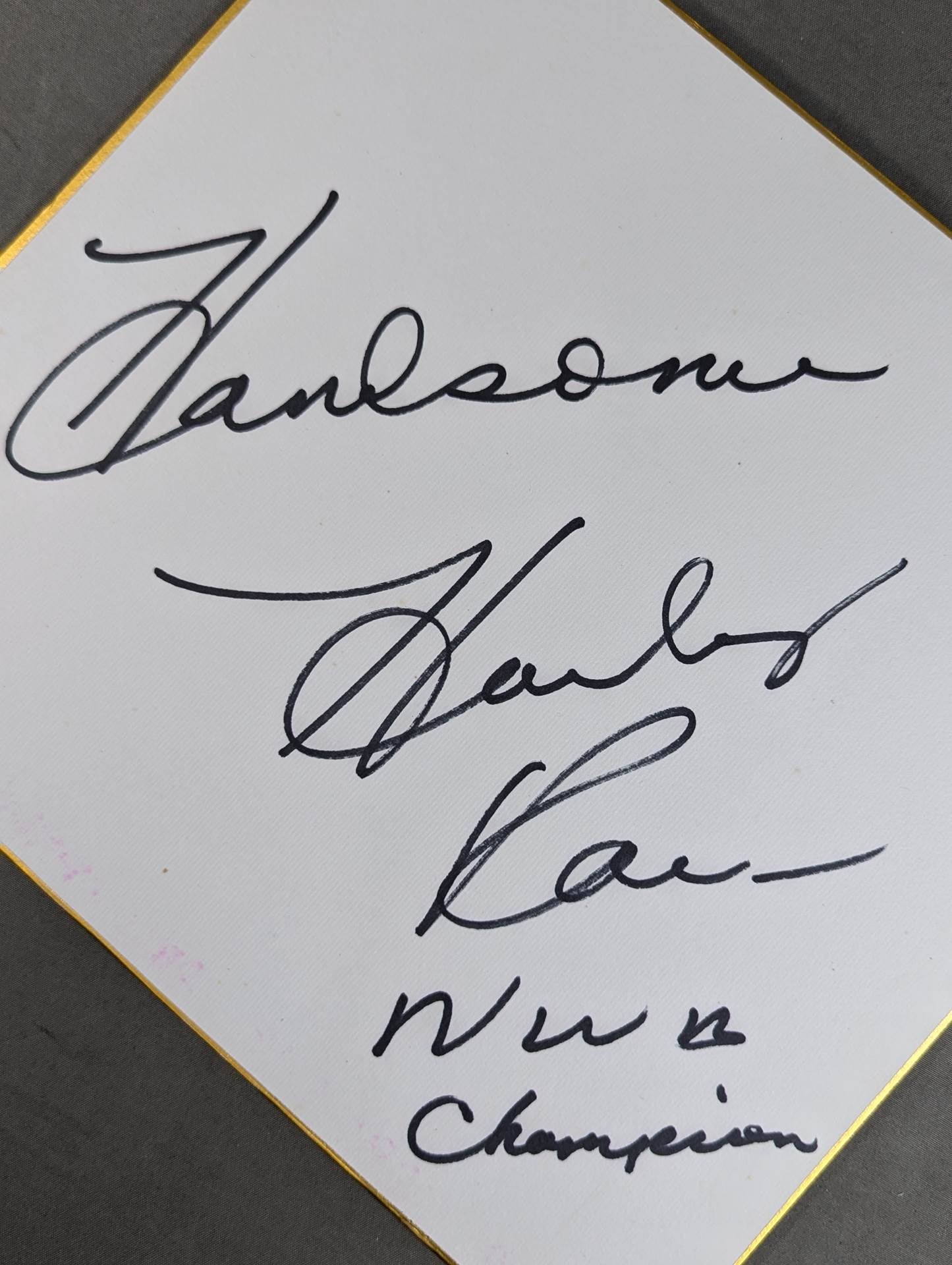 ハンサム” ハーリー・レイス – 闘道館