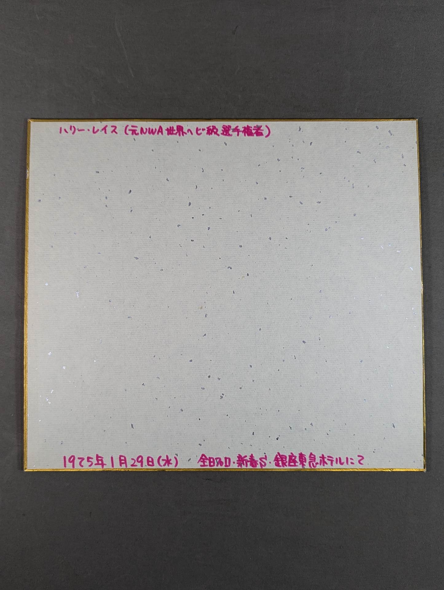 ハンサム” ハーリー・レイス – 闘道館