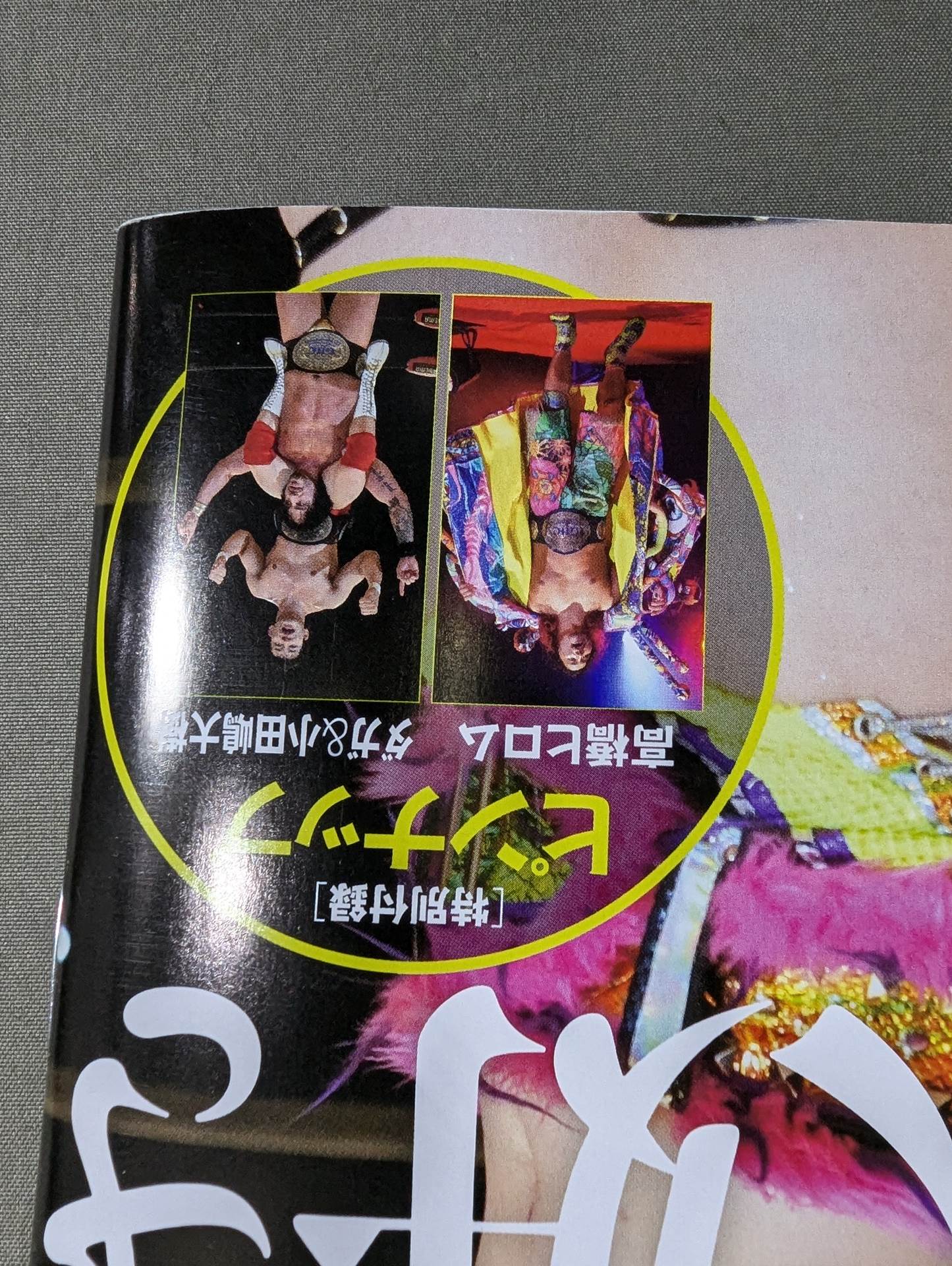 Weekly Pro Wrestling 2382