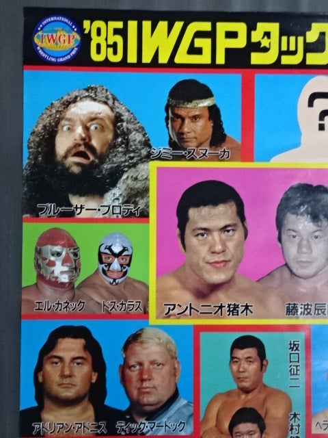 85IWGP Tag League Match