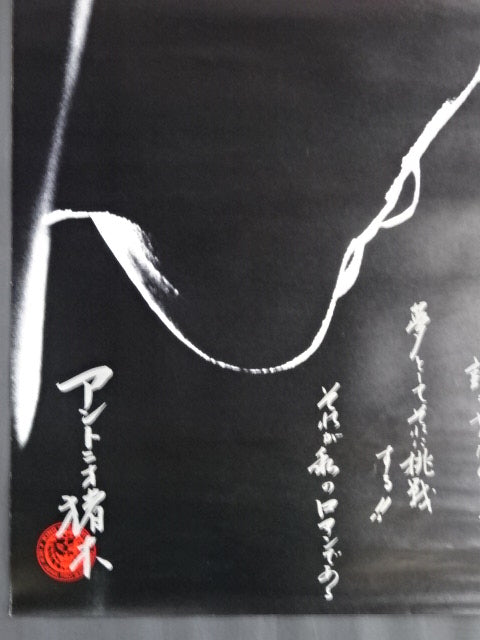 ★FINAL THE INOKI ★ "Burning Fighting Spirit" Antonio Inoki  retirement game (1)