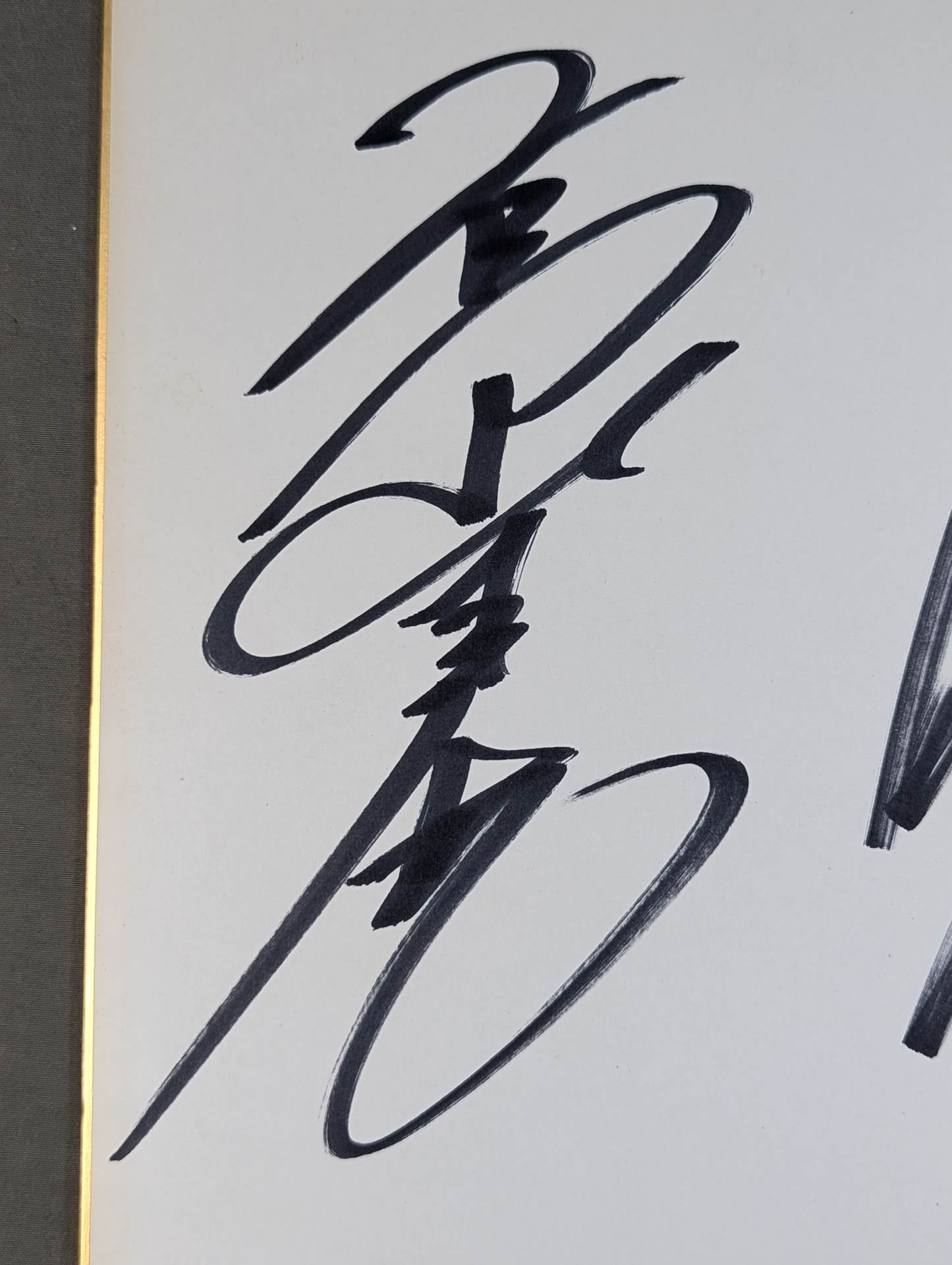 ☆NO FEAR☆ 高山善廣＆大森隆男 – 闘道館