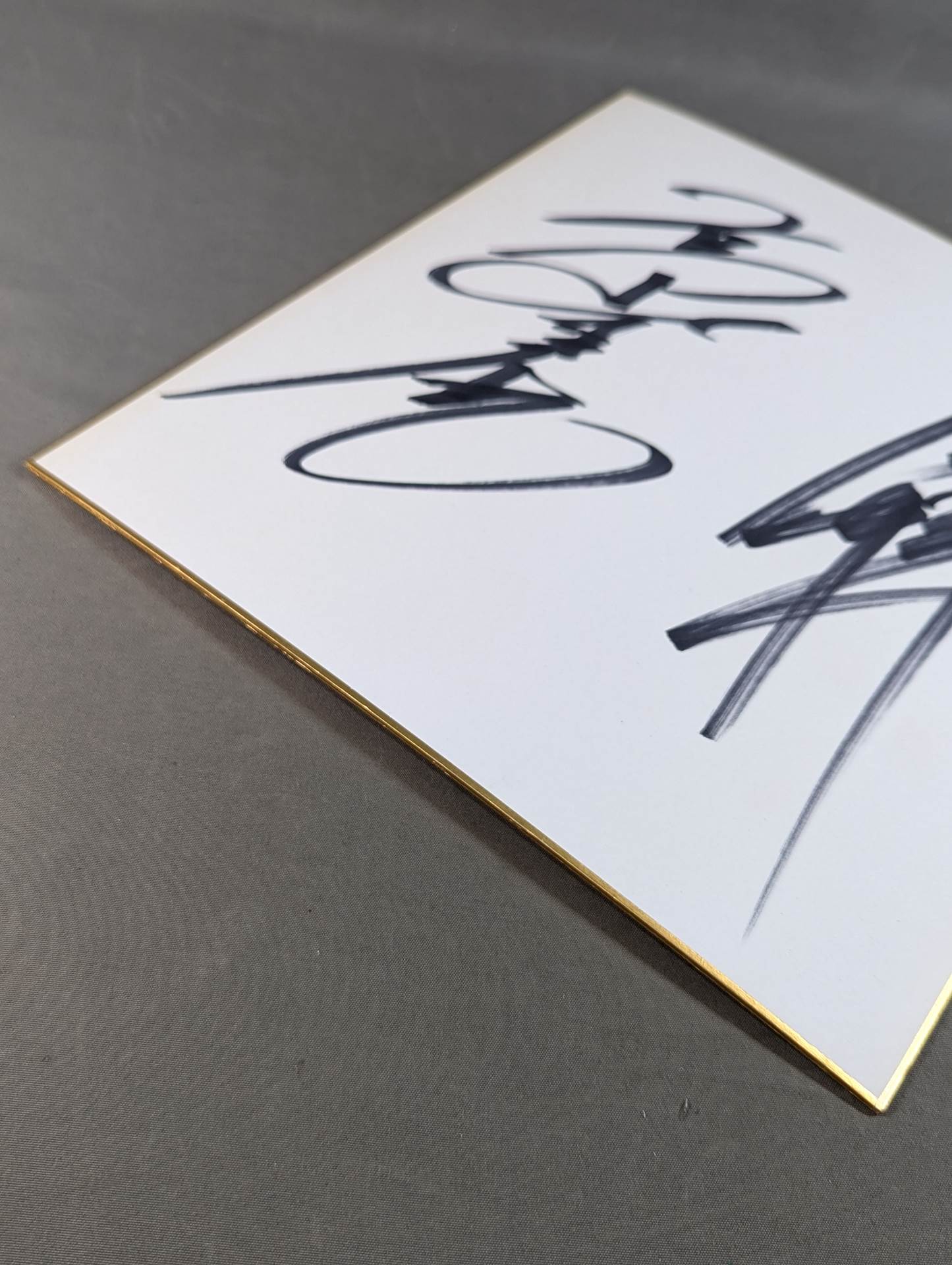 高山善廣大森隆男写真パネルサイン付き 高山善廣大森隆男写真パネルサイン付き 2025年最新】高山善廣