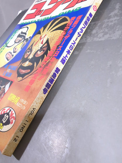 月刊ゴングVol.11 No.12