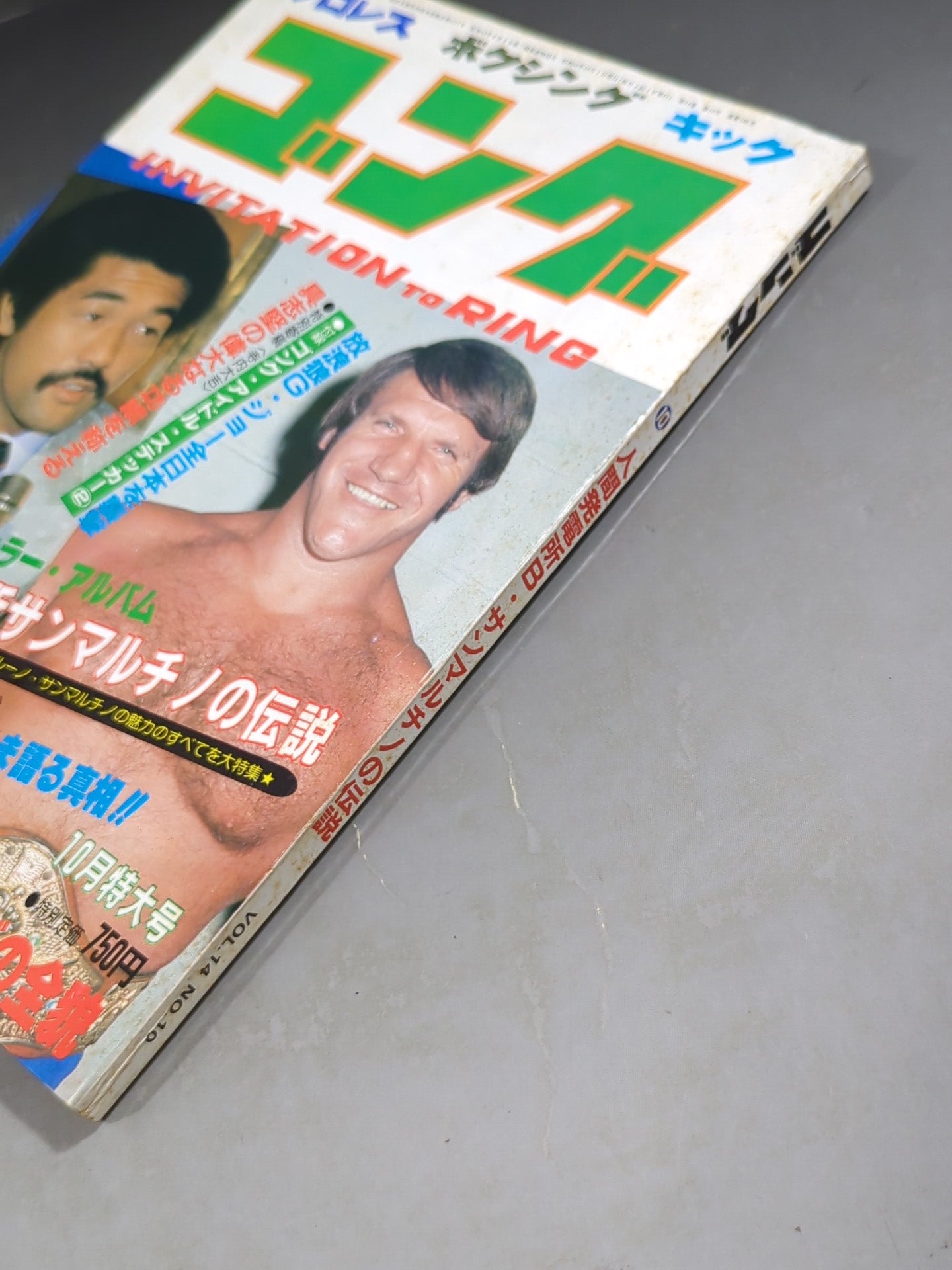 月刊ゴングVol.14 No.10