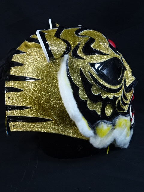 The first Tiger Mask – 闘道館