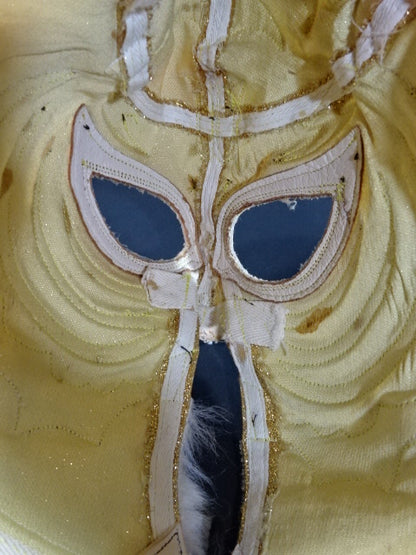 The first Tiger Mask