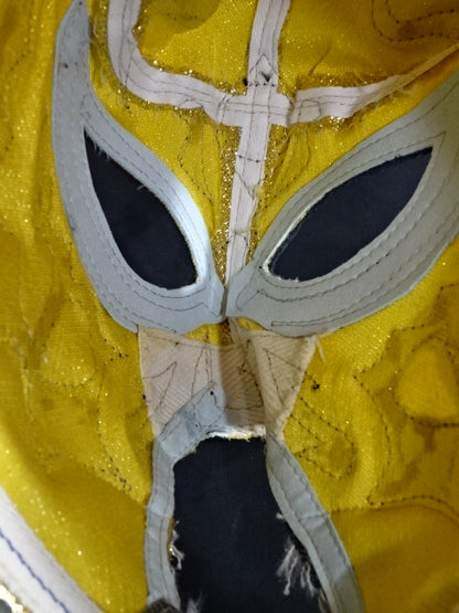 The first Tiger Mask