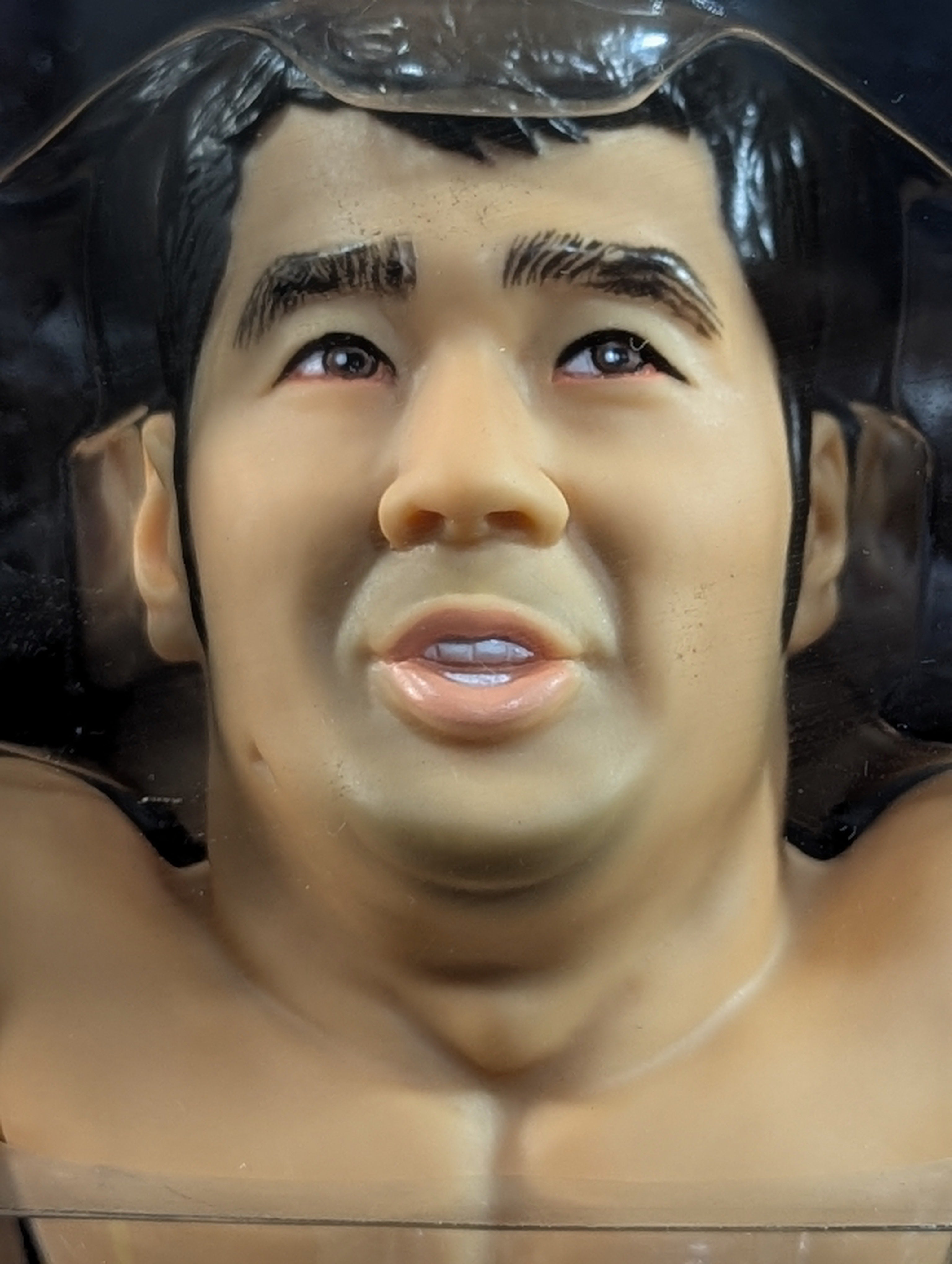 高田延彦(総合) – 闘道館