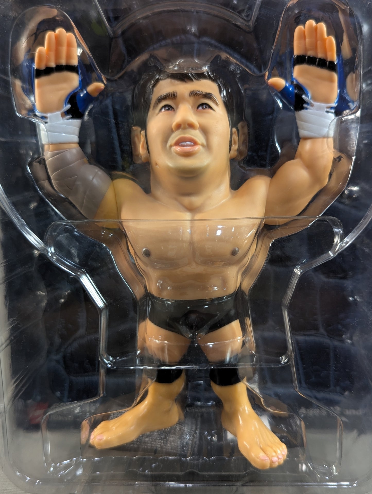 高田延彦(総合)