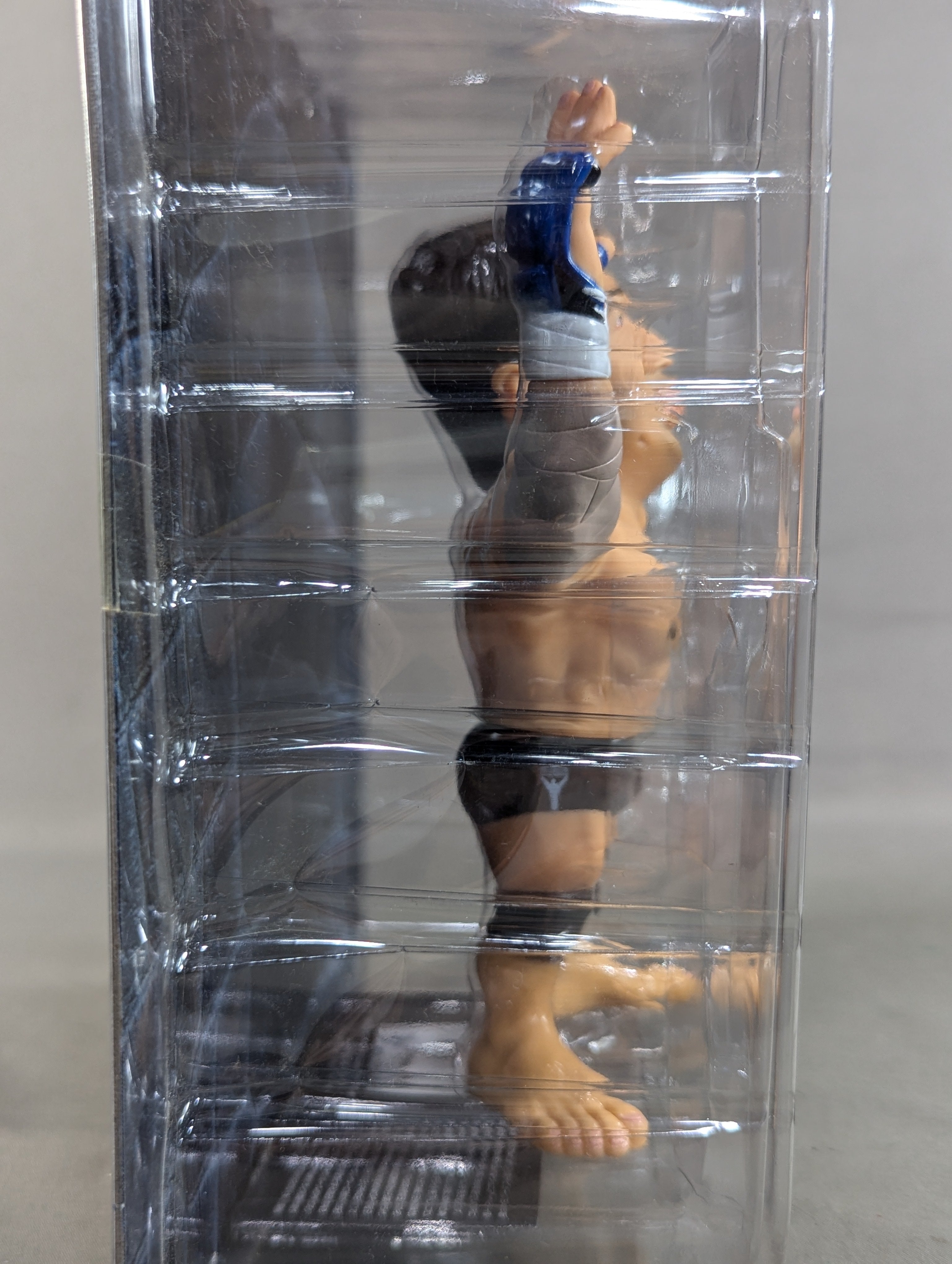 高田延彦(総合) – 闘道館