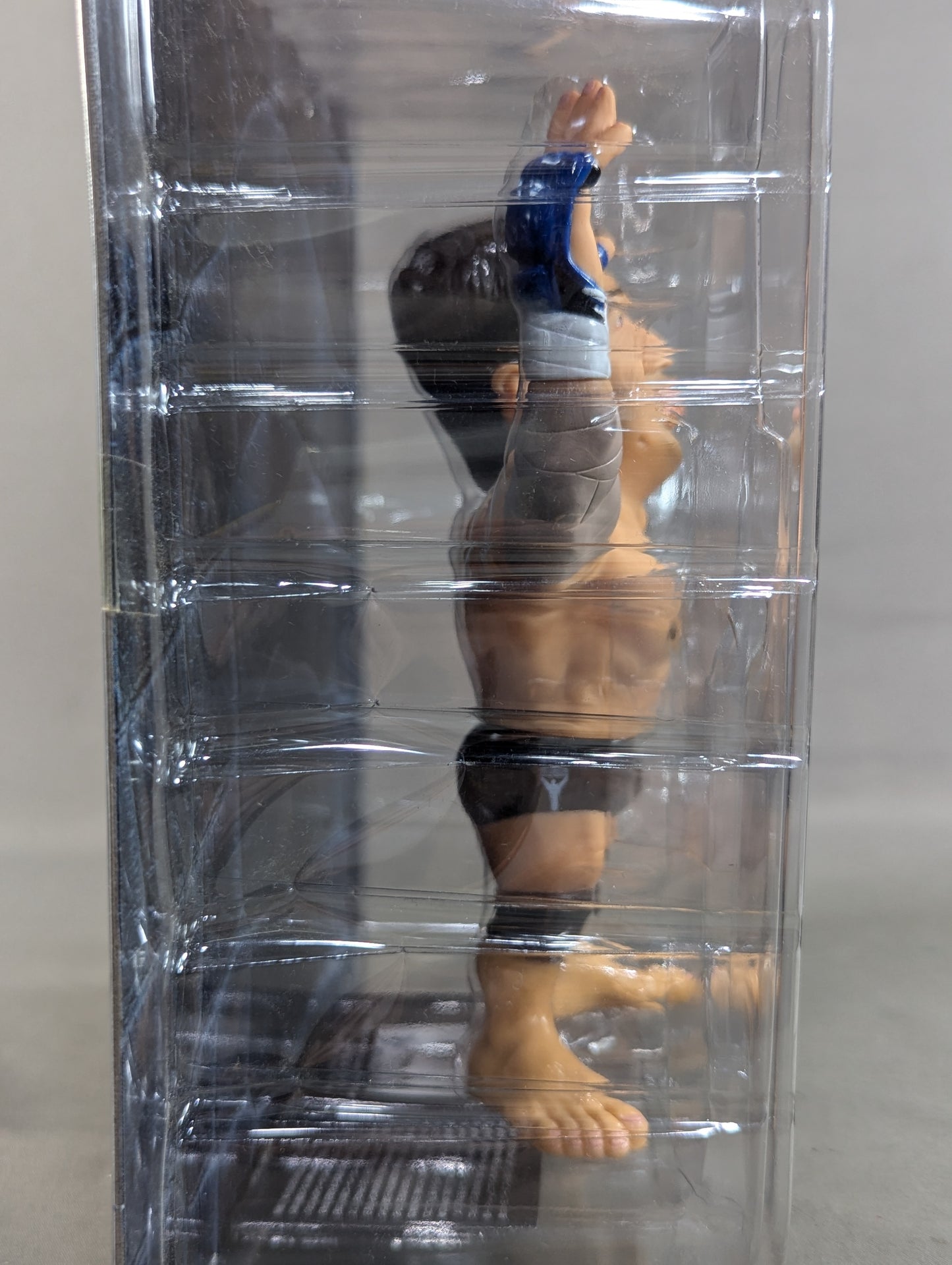 高田延彦(総合)