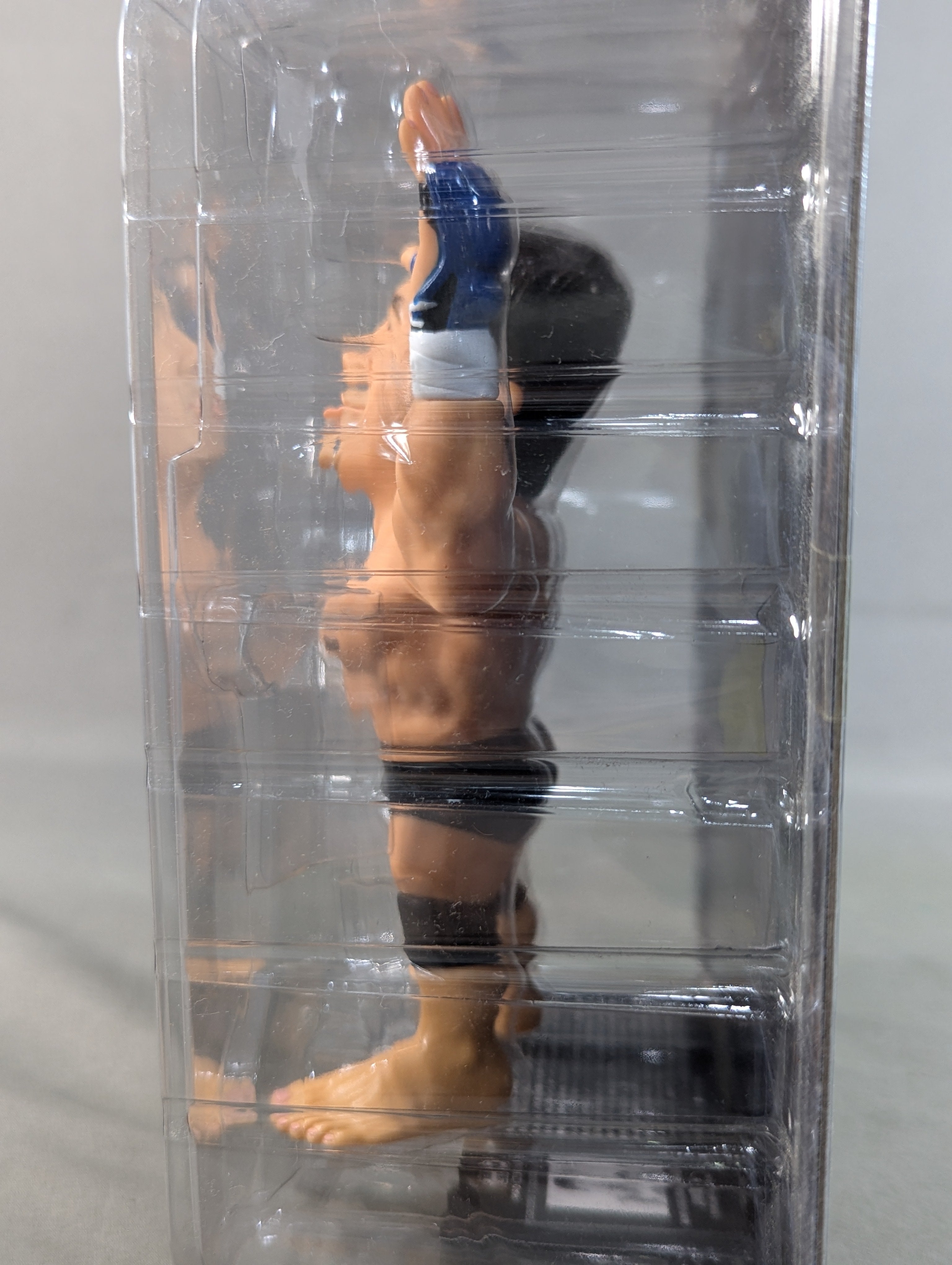 高田延彦(総合) – 闘道館