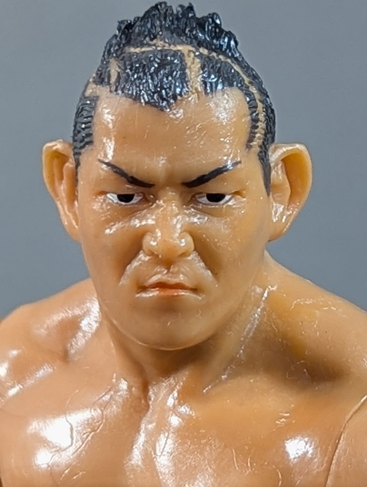 Minoru Suzuki (white) & Naomichi Marufuji  (silver)