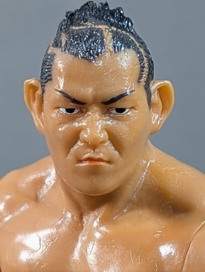 Minoru Suzuki (white) & Naomichi Marufuji  (silver)