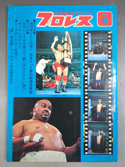 月刊プロレス 1973年6月号