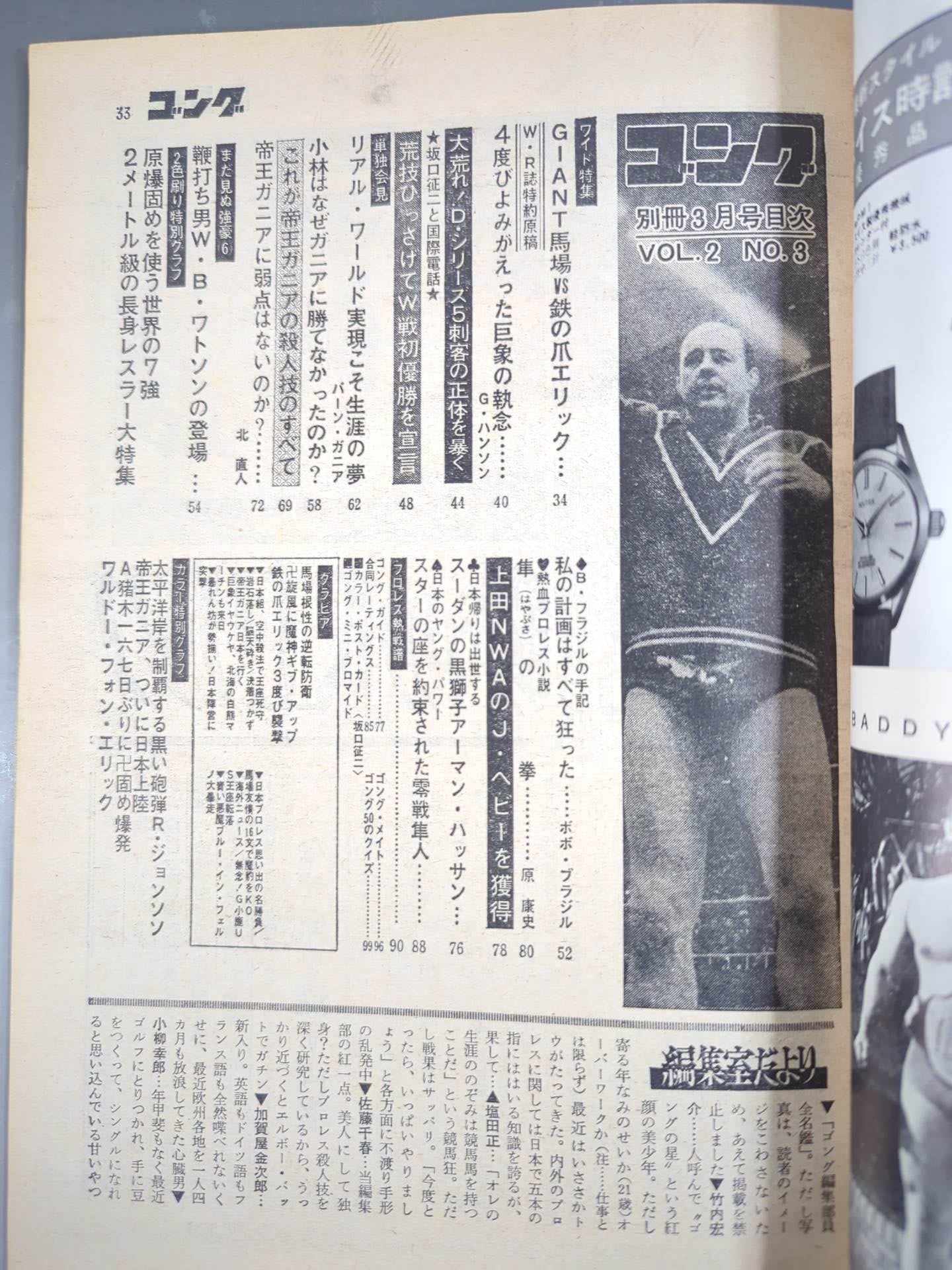 別冊ゴングVol.2 No.3