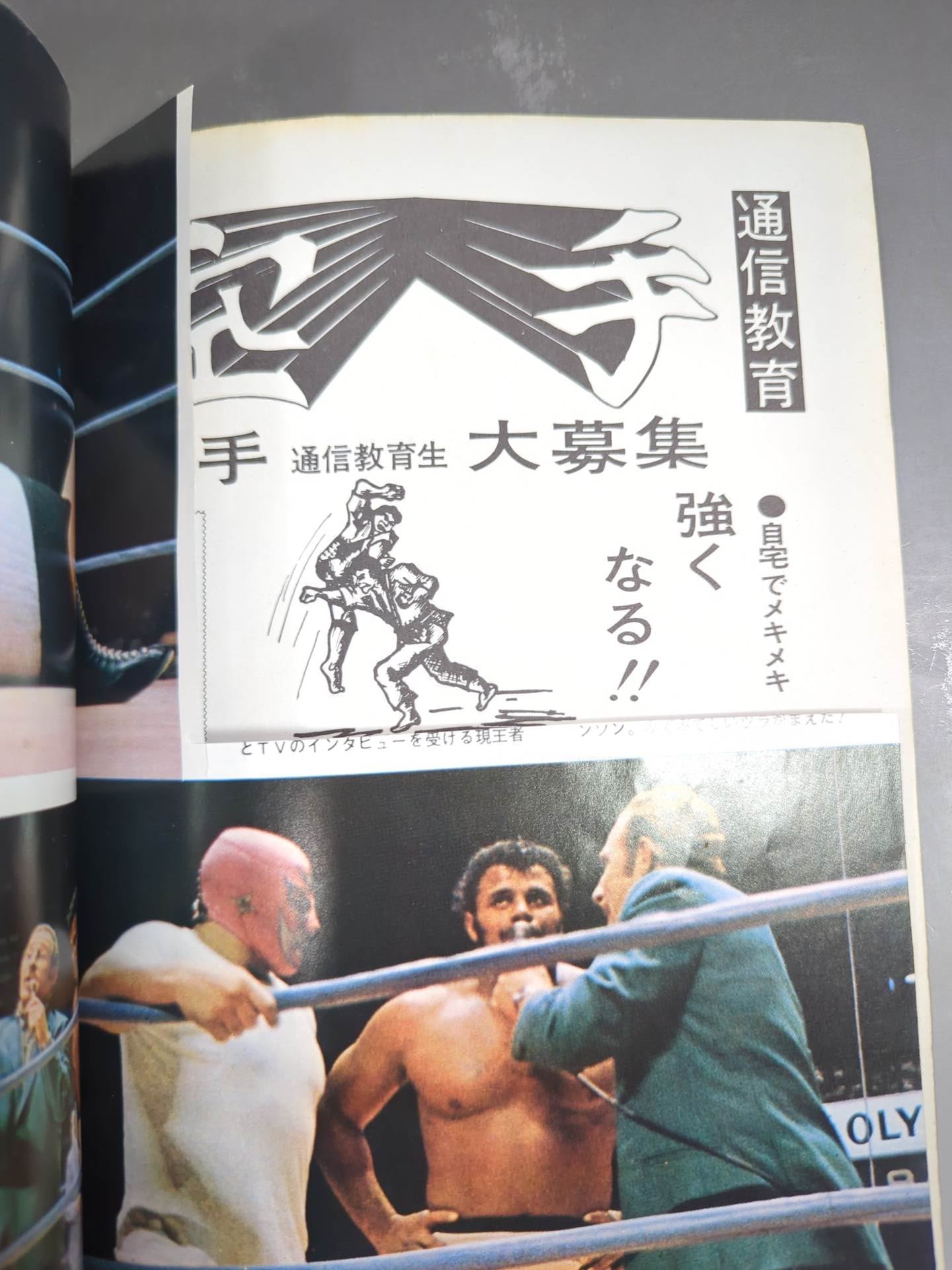 別冊ゴングVol.2 No.3