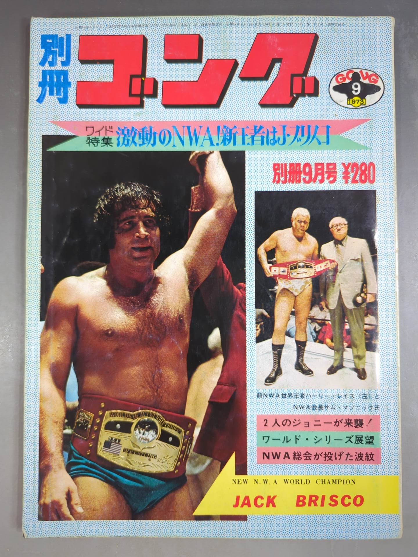 別冊ゴングVol.5 No.9