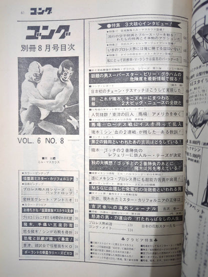 別冊ゴングVol.6 No.8