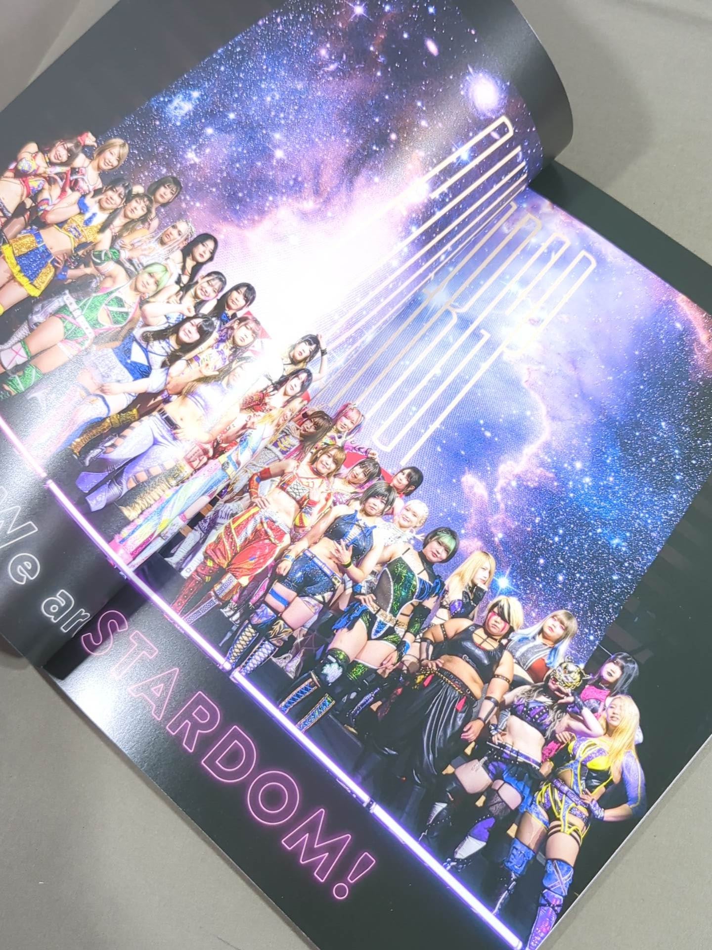 STARDOM OFFICIAL GUIDE BOOK 5★STAR GP2022 Special Edit