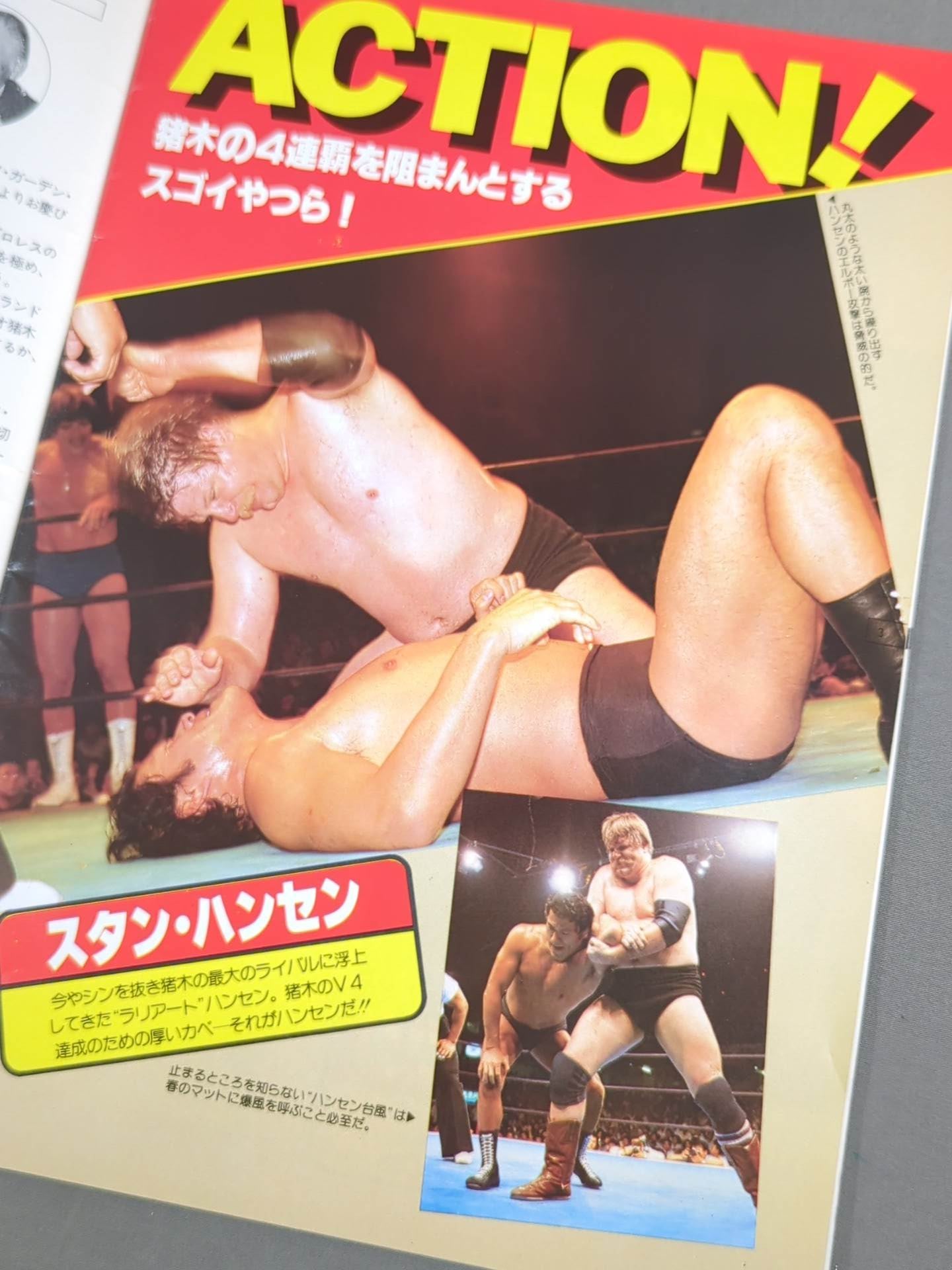 THE WRESTLER 4th MSG Series Vol.1