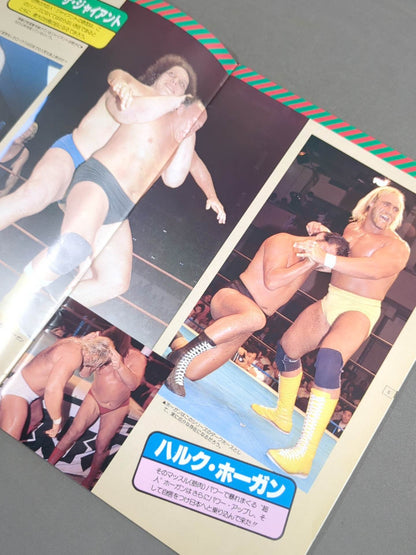THE WRESTLER 4th MSG Series Vol.1