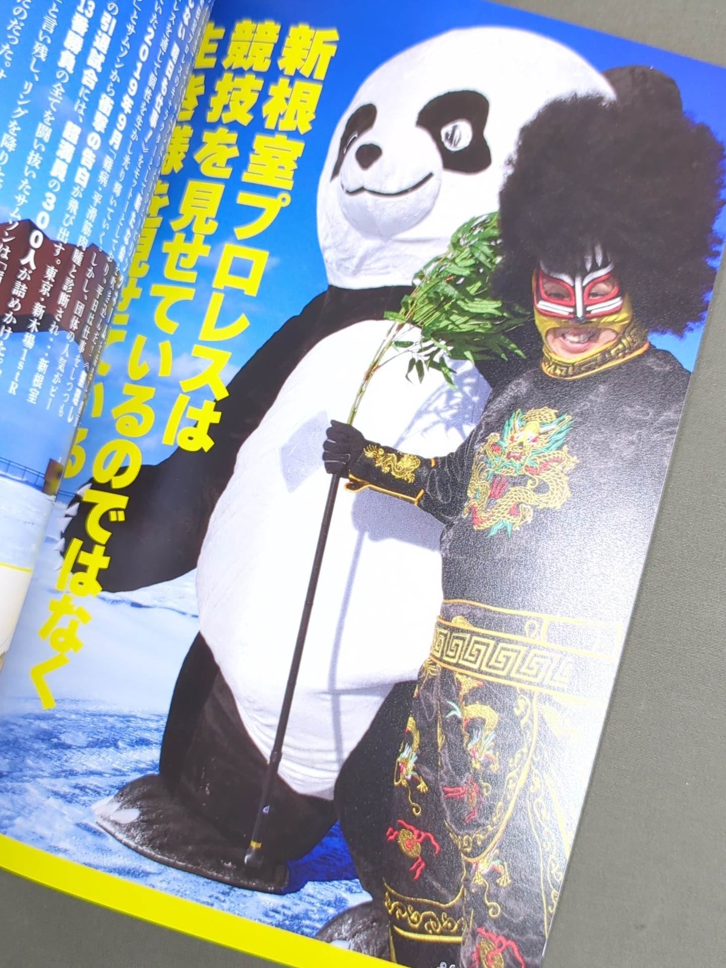 New Nemuro Pro Wrestling Story Theater Pamphlet