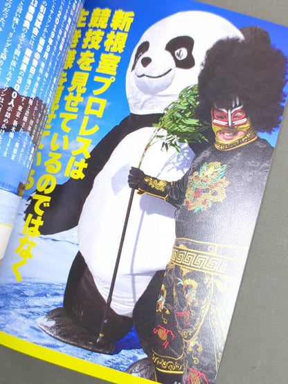 New Nemuro Pro Wrestling Story Theater Pamphlet