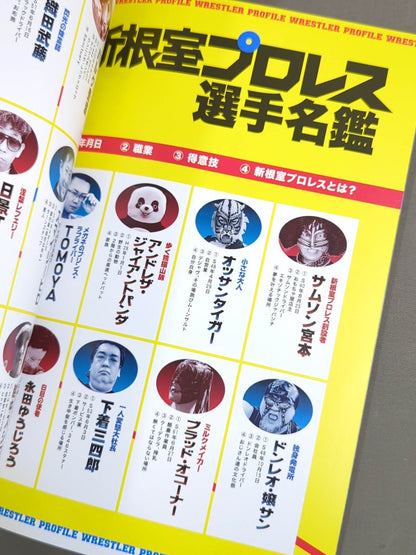 New Nemuro Pro Wrestling Story Theater Pamphlet