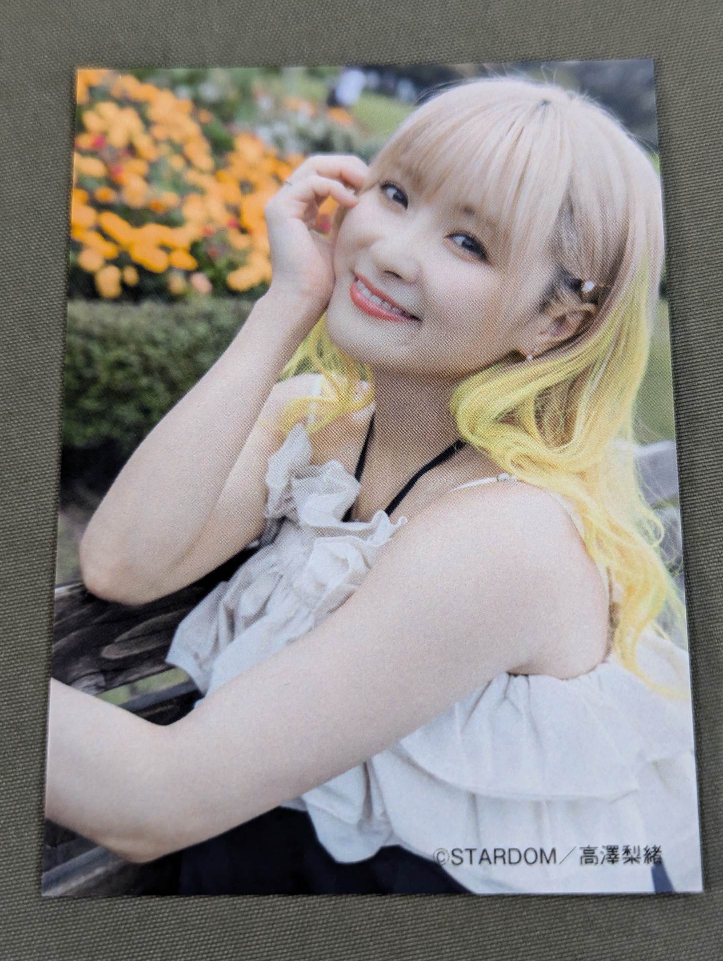 [With bonus trading card] NATSUPOI  photo essay 29/30 (Nikyu Sanzero)