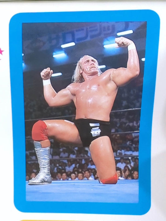Hulk Hogan  Wrestler Cards(1)