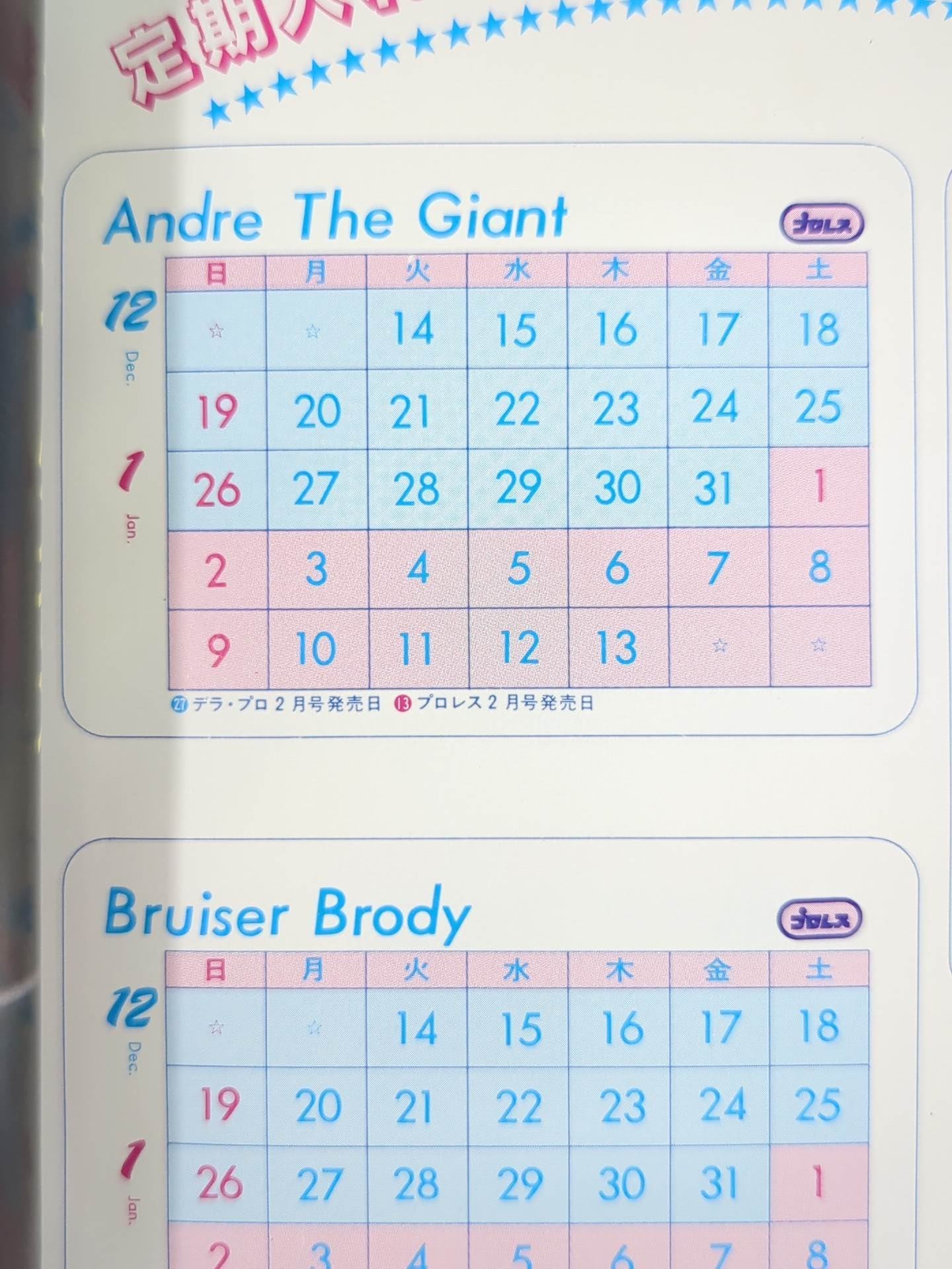Andre the Giant  Wrestler Cards(1)