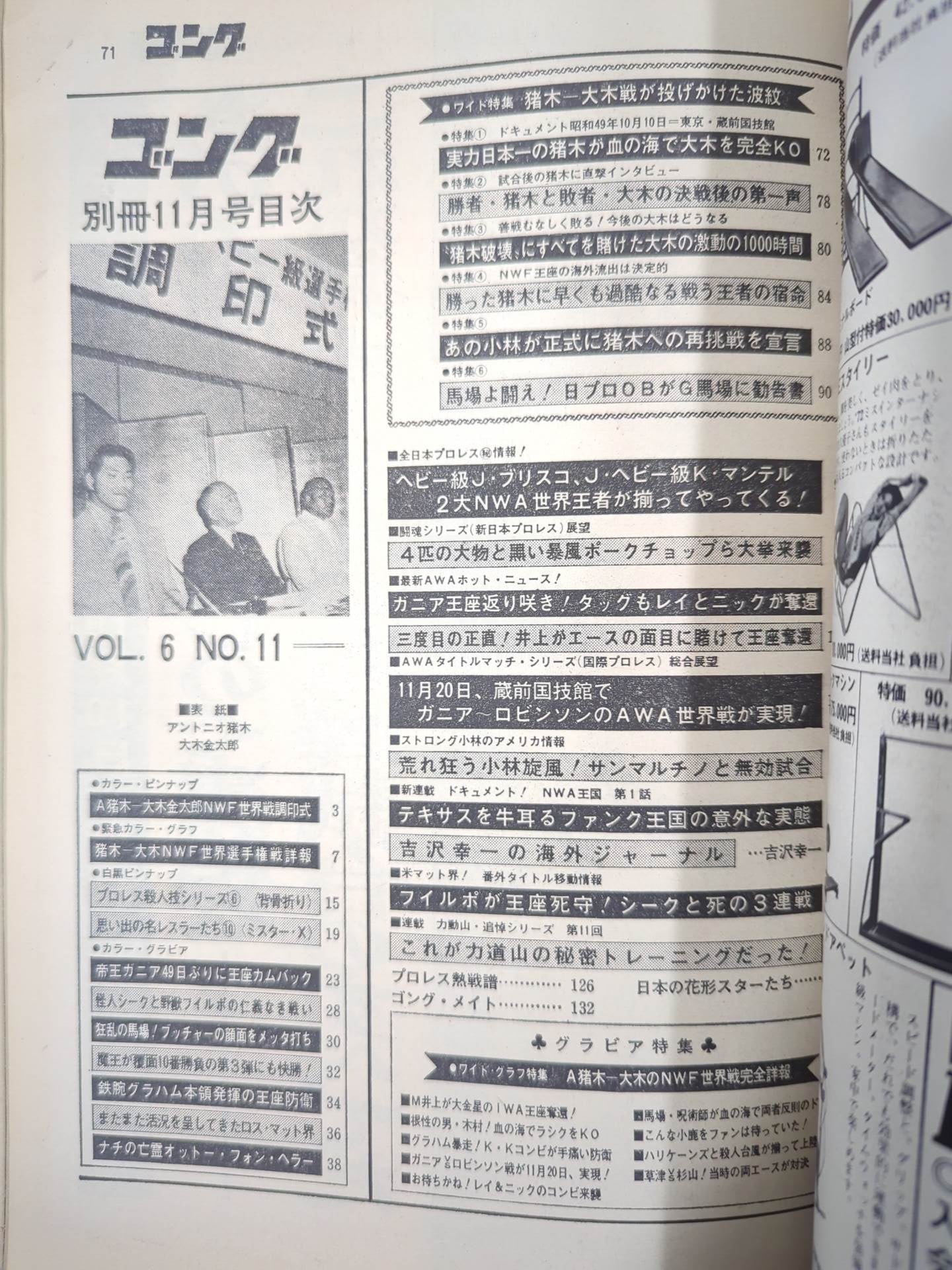 別冊ゴングVol.6 No.11