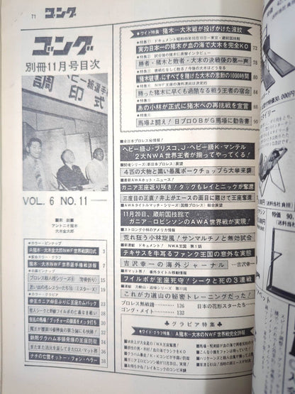 別冊ゴングVol.6 No.11
