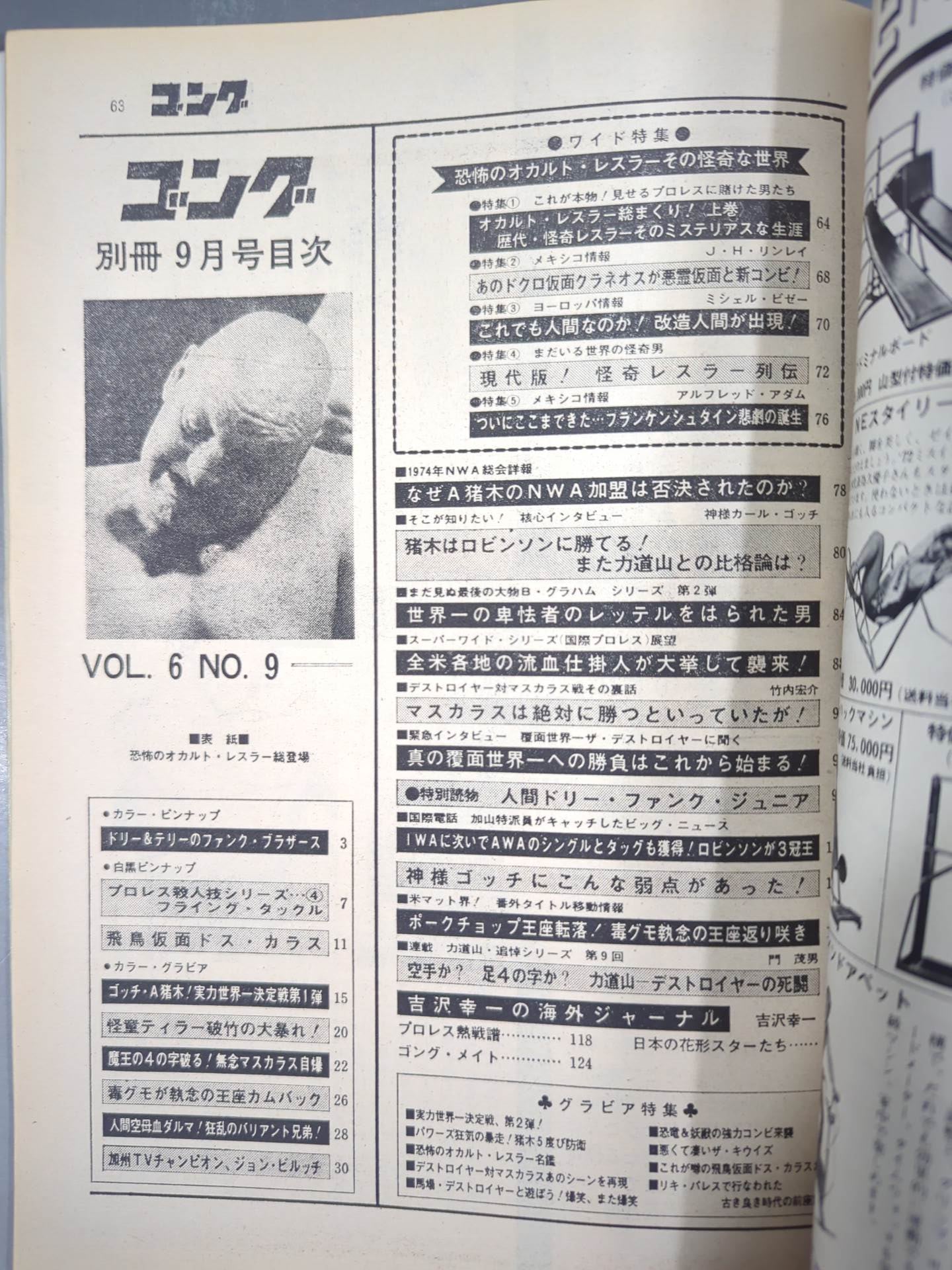 別冊ゴングVol.6 No.9