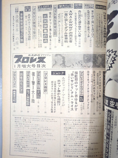 Monthly Pro Wrestling January 1973 issue