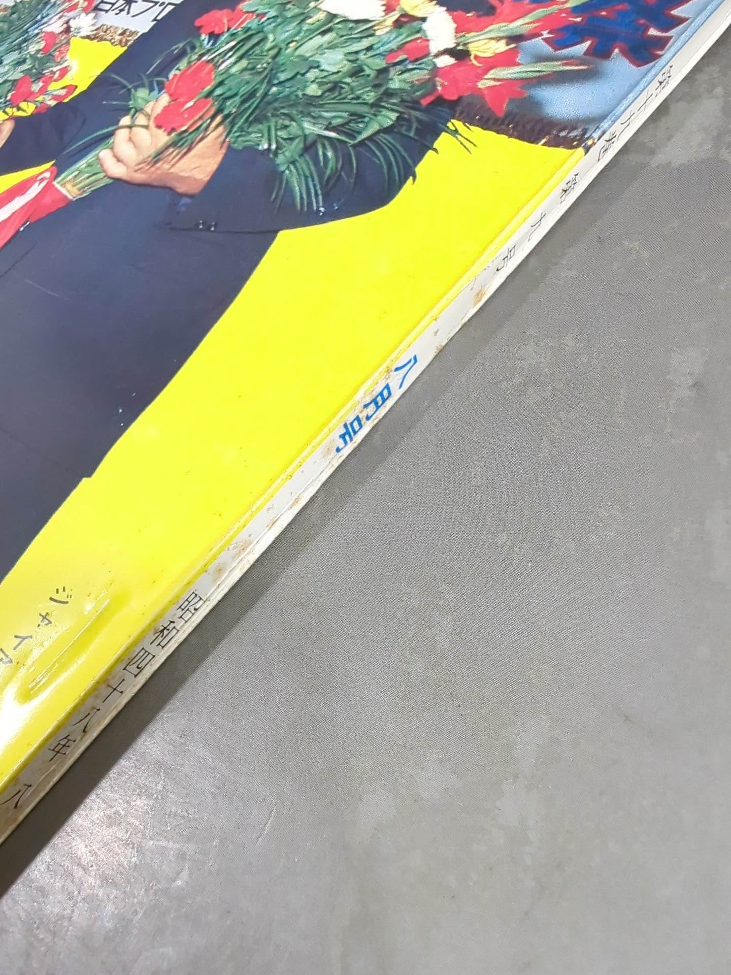 Monthly Pro Wrestling August 1973 issue