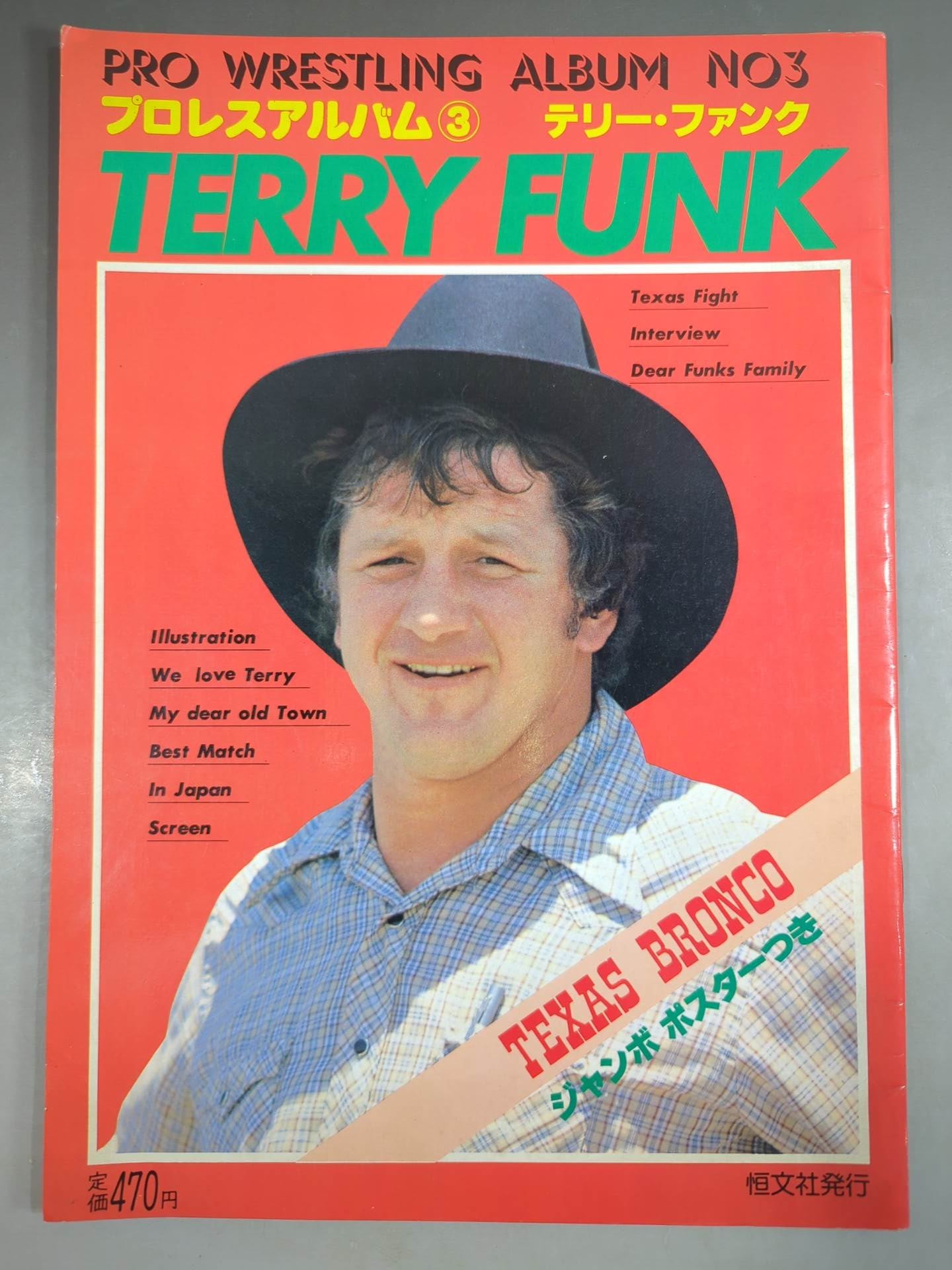 Pro Wrestling  Album 3 by Terry Funk