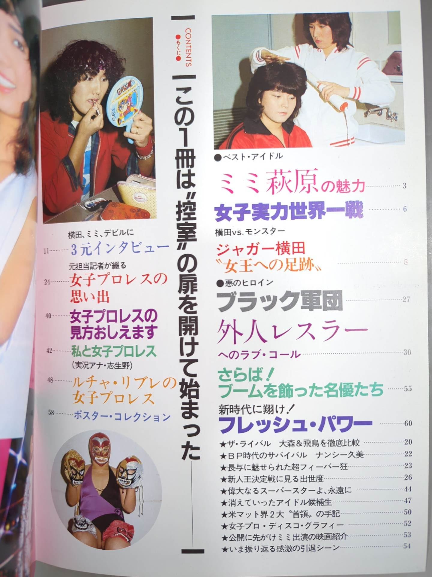 プロレスアルバム21 リングに咲いた恋人たち