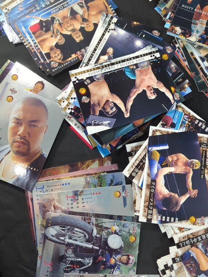 2002 BBM New Japan Pro Wrestling  30th Anniversary Card Regular Card & Insert Card & Promo Card Full Complete 412 Pieces Set!!