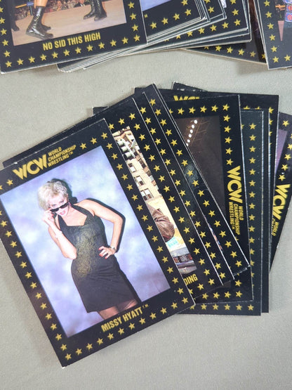 1991 WCW Championship Marketing 110 Regular Cards Full Complete Set