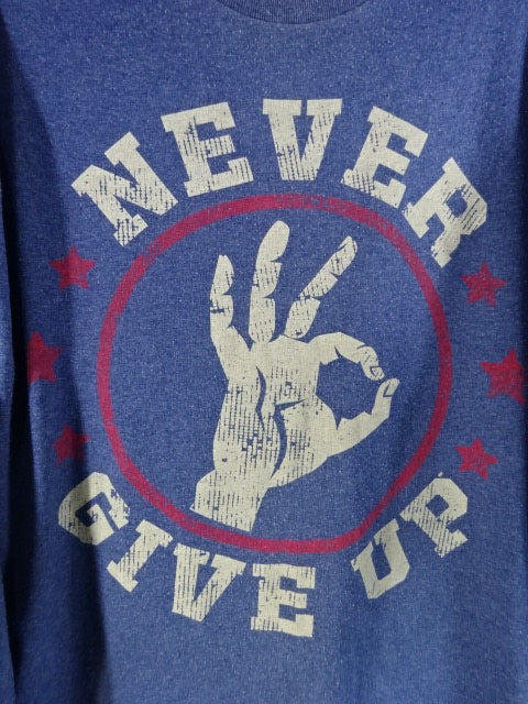 John Cena  Long Sleeve T-Shirt (4) (WWE (2013) / Blue)