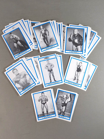 1991 Wrestling  LEGEND 60 Discs Full Complete Set