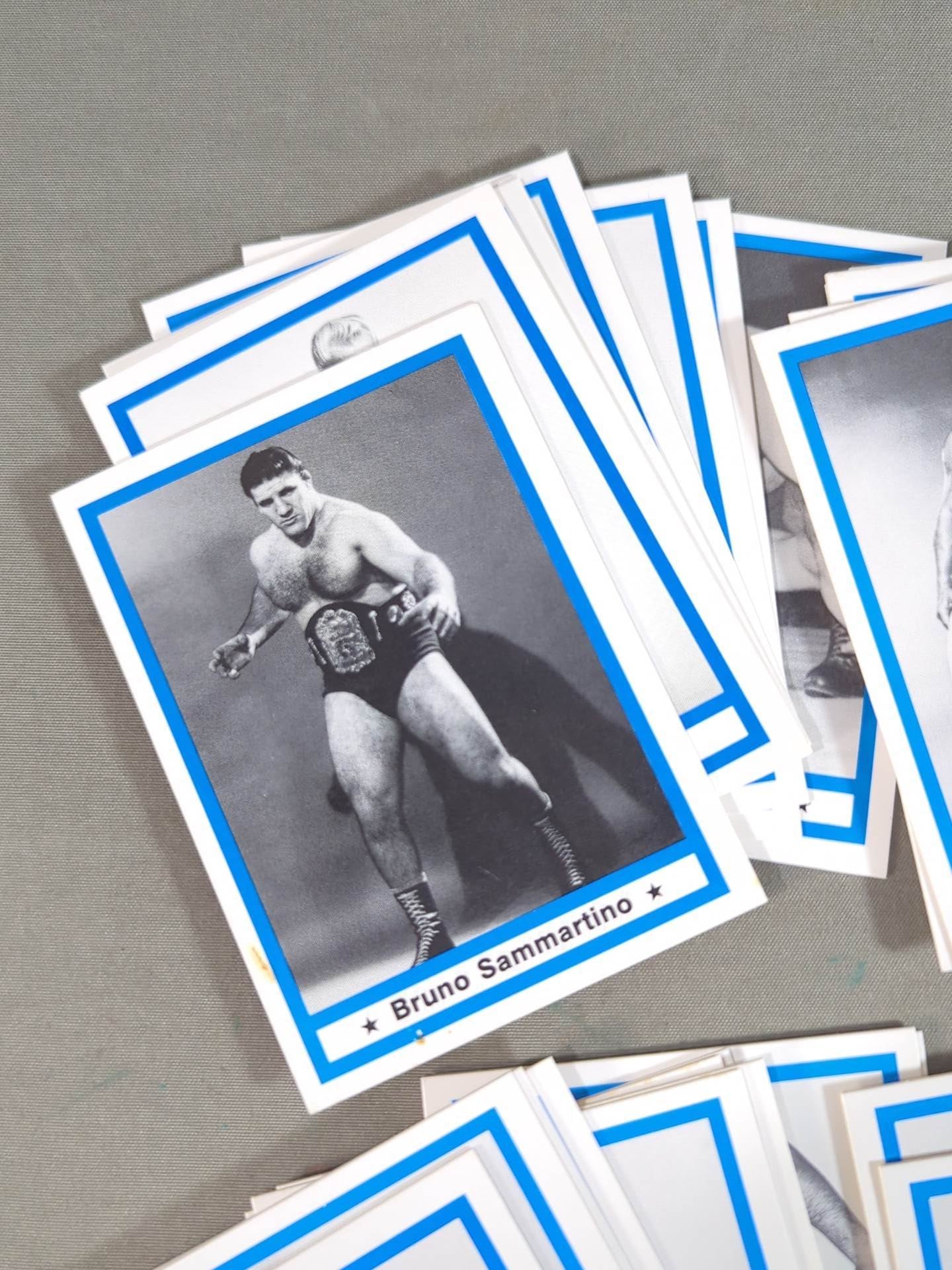 1991 Wrestling  LEGEND 60 Discs Full Complete Set