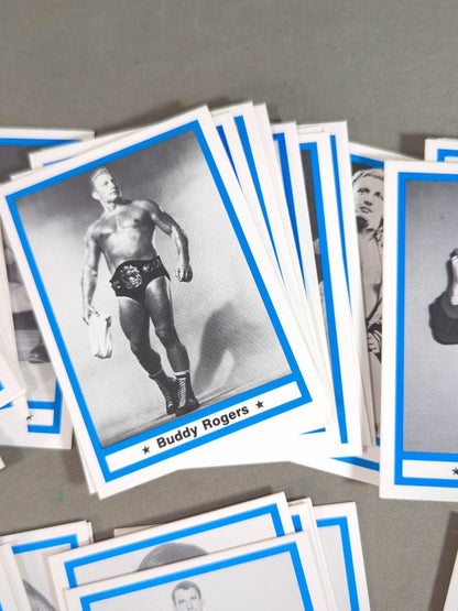 1991 Wrestling  LEGEND 60 Discs Full Complete Set