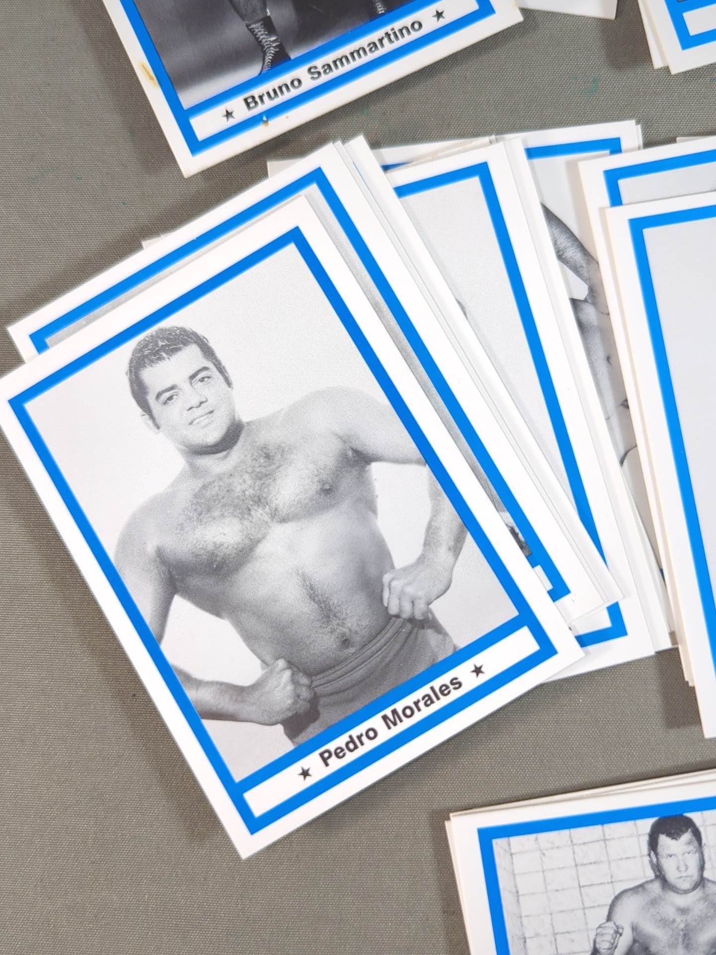 1991 Wrestling  LEGEND 60 Discs Full Complete Set