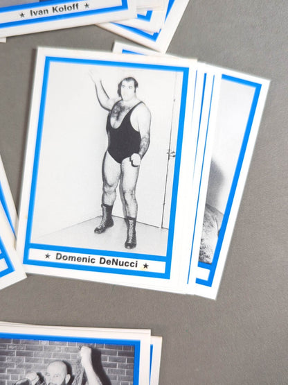 1991 Wrestling  LEGEND 60 Discs Full Complete Set